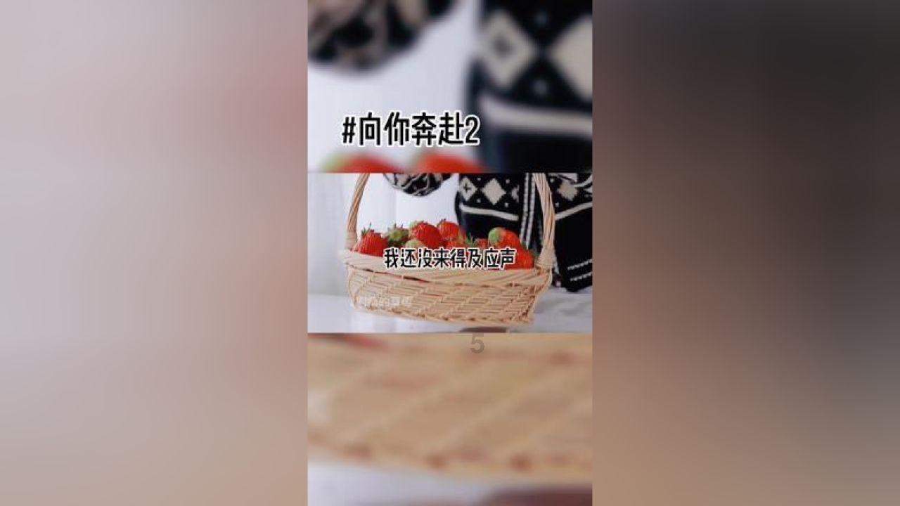 25个共和党州长支持得克萨斯州，美国发生了什么？